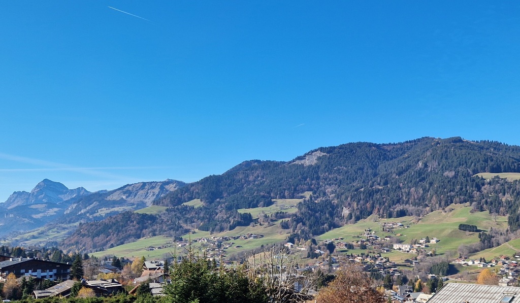 The Rochebrune Chalet gallery image 10